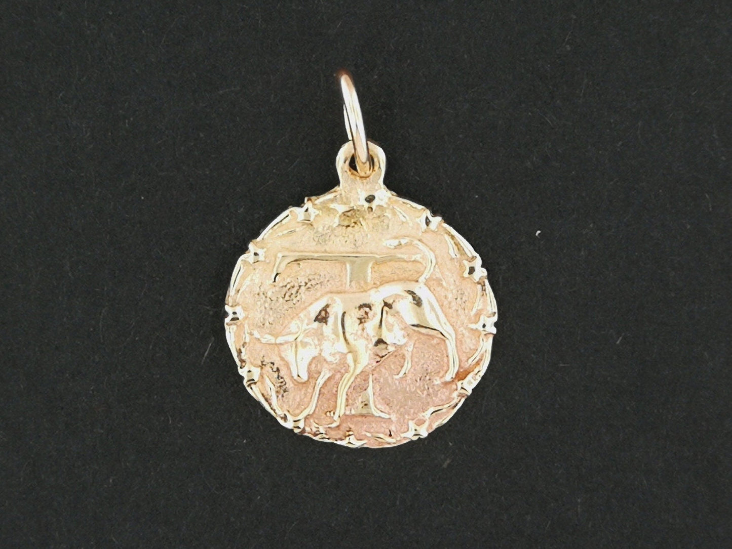 Zodiac Medallion Taurus in Sterling Silver or Antique Bronze