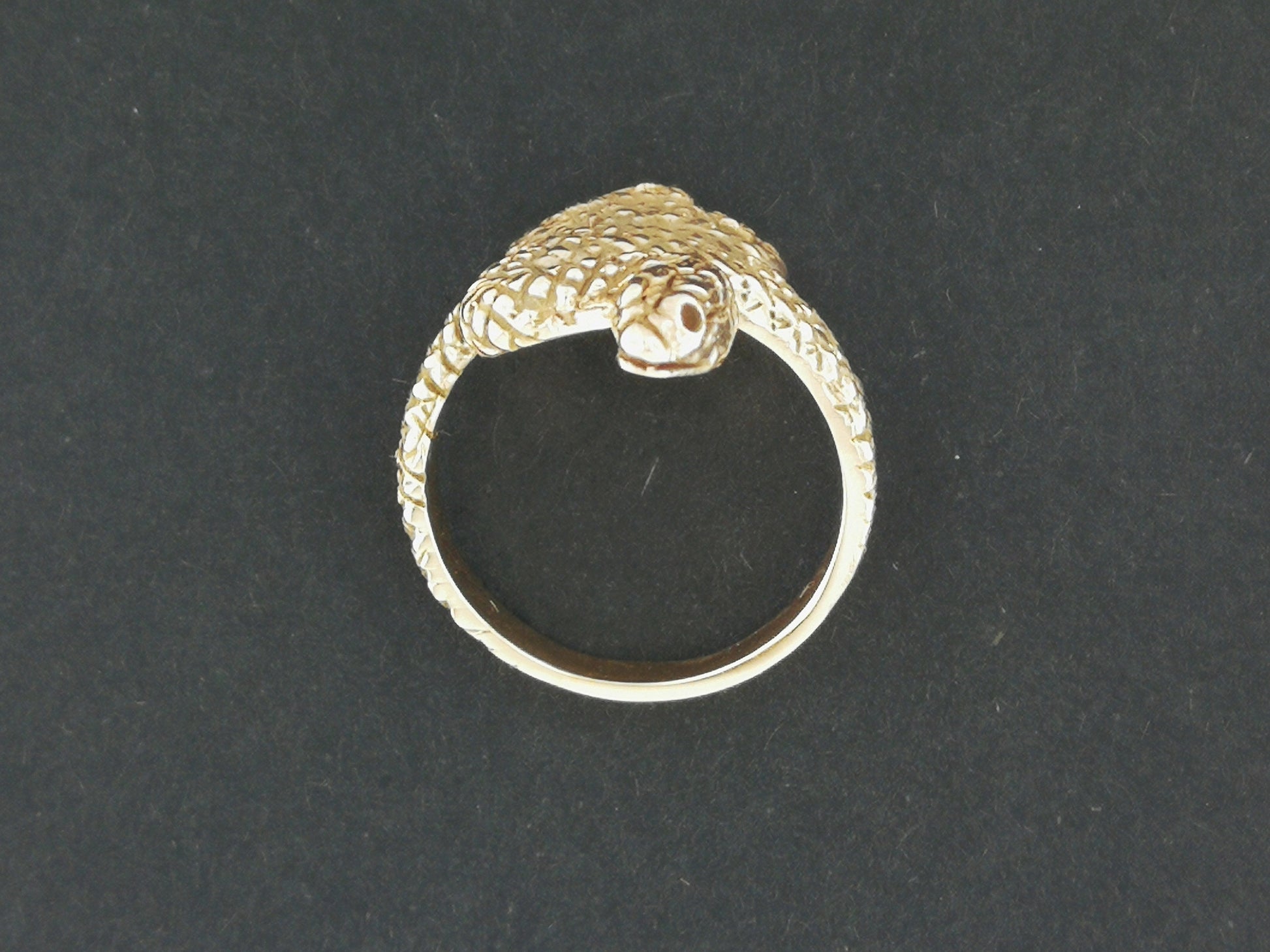 Coiled Snake Ring in 925 Silver or Bronze, 3D Snake Ring Jewellery, Bronze Reptile Rings, Delicate Snake Rings, Egyptian Snake Ring Jewelry, 50s Snake Ring, Bronze Snake Ring, Adjustable Serpent Ring, Bronze Serpent Ring, Vintage Snake Ring